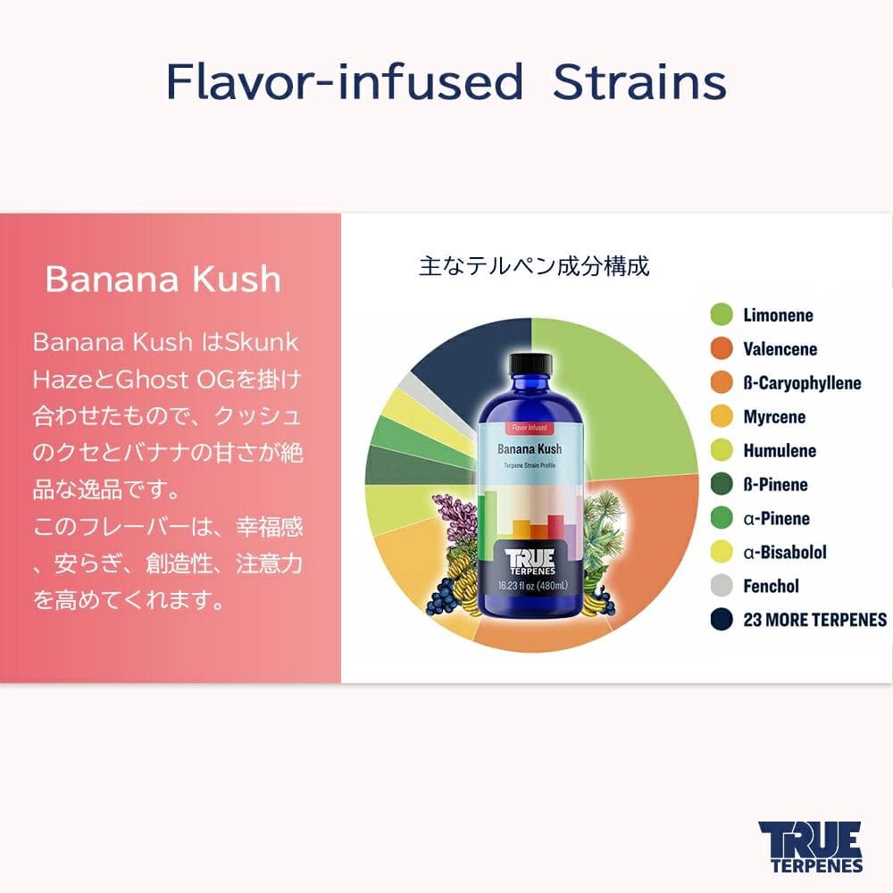 TRUE テルペン 510 CBD CBN CBG 10ml バナナクッシュ