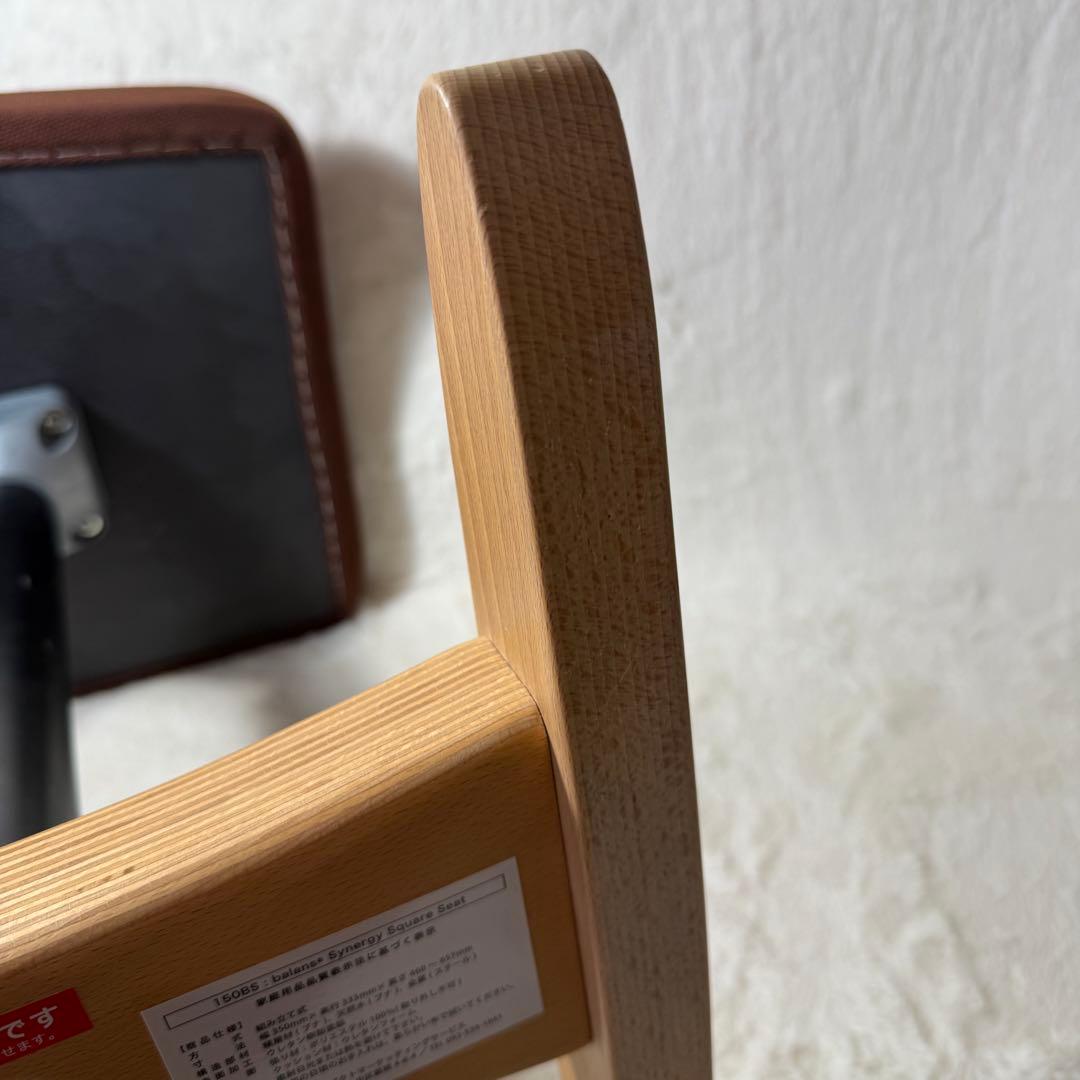 Balans Synergy バランスシナジー ブラウン　カバー付 北欧 腰痛