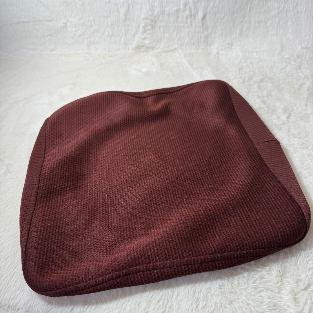 Balans Synergy バランスシナジー ブラウン　カバー付 北欧 腰痛