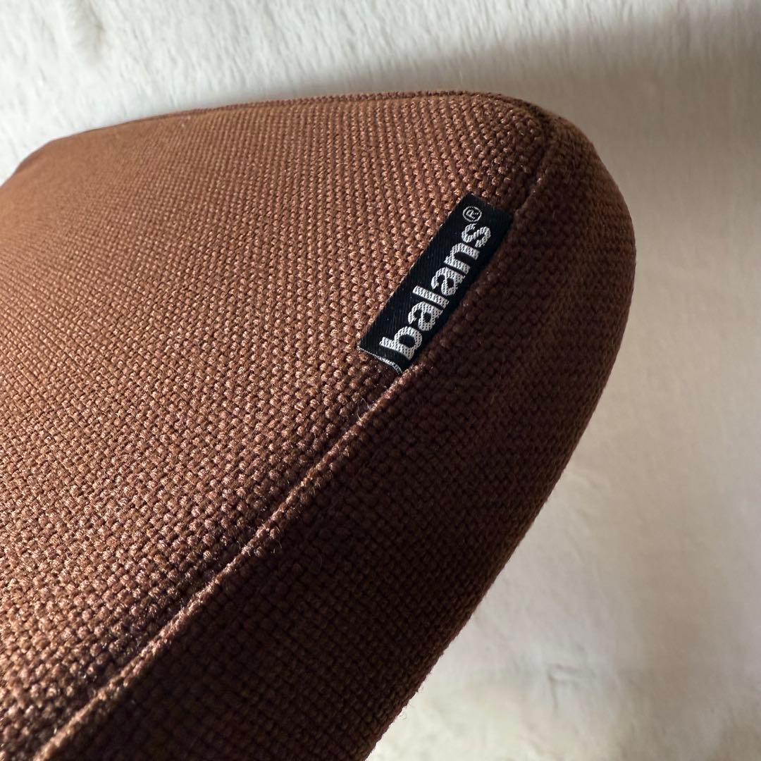 Balans Synergy バランスシナジー ブラウン　カバー付 北欧 腰痛