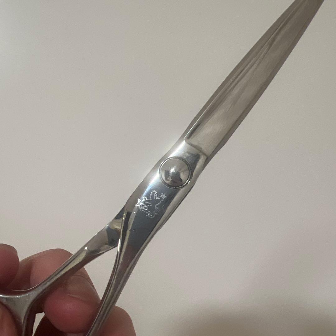 トラックスシザー　HARD6.0 PARM10 2本セット