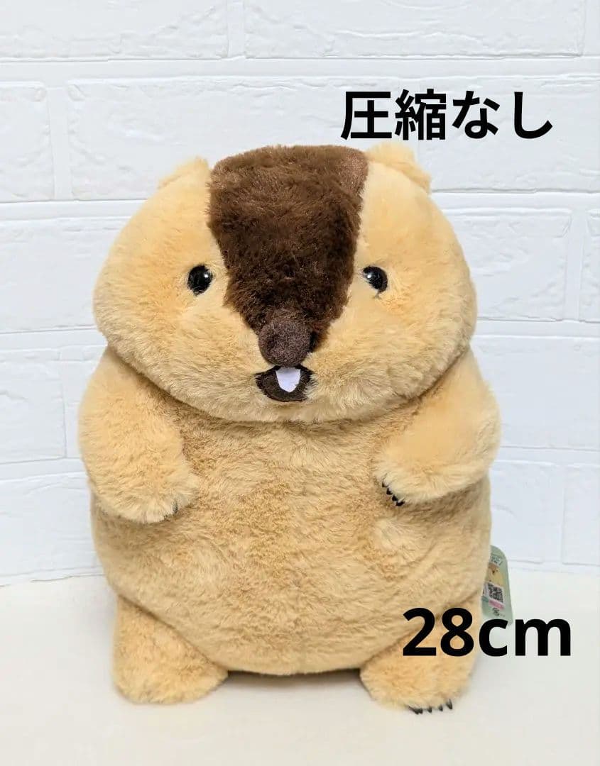 マーモットのもっとっと ぬいぐるみ JB アー太郎 28cm | Shop at
