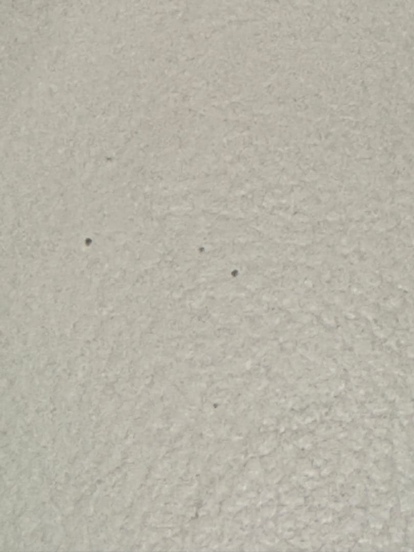 IDC大塚家具 ダイニングチェア シネマ HOC-096 WO 椅子2脚セット