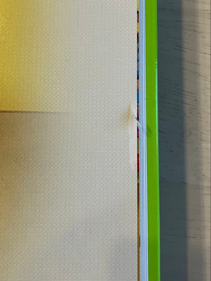 最新版　ディズニー英語システム　dwe メインプログラム　ブック　Book 絵本