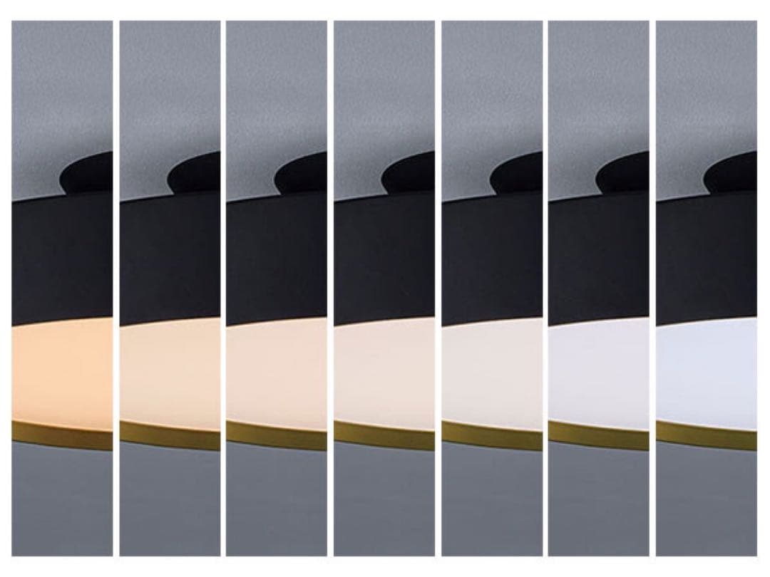 FLYMEe Noir フライミーノワール/ LED Ceiling Lamp