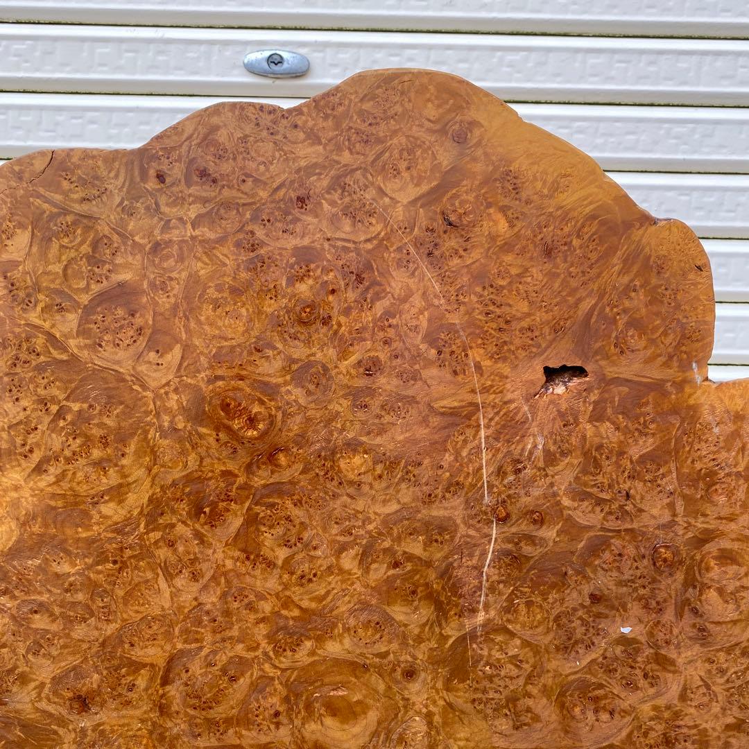 希少 玉杢 楓 瘤 衝立