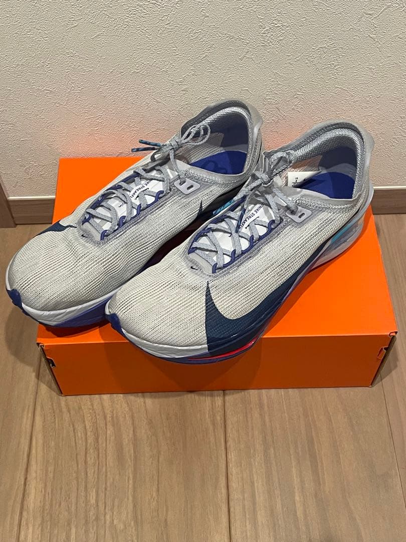NIKE ストリークフライ2 26.0cm