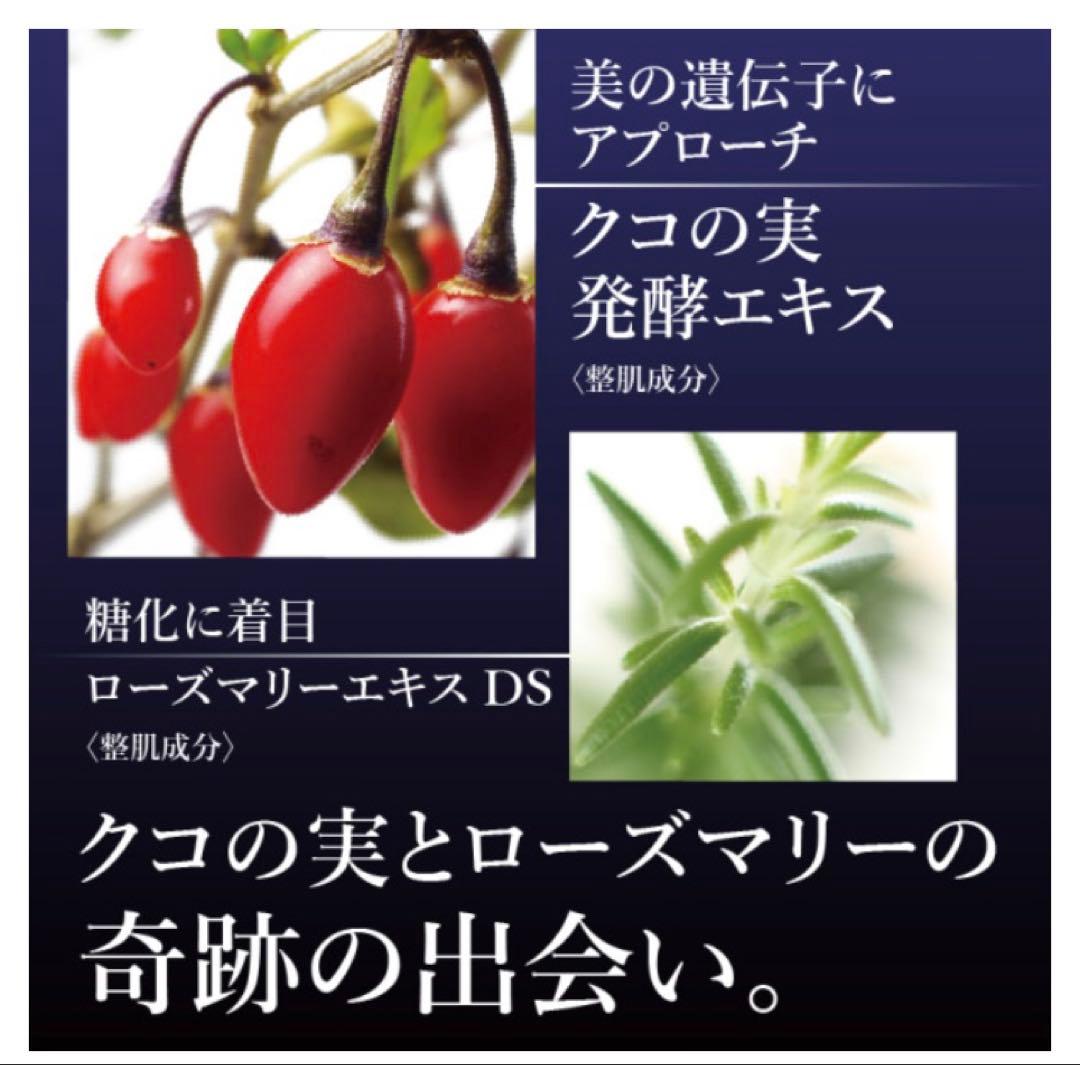 新品未使用/ショッパー付/ナガセ　ロズマリスト