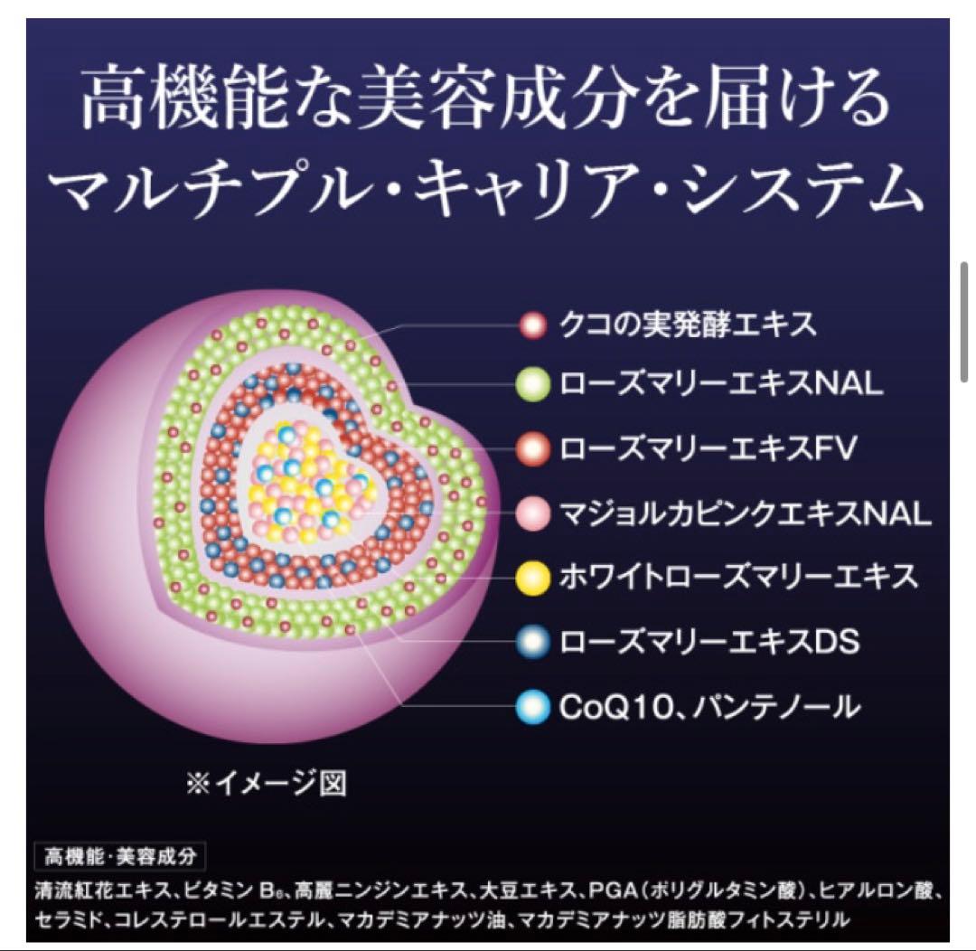 新品未使用/ショッパー付/ナガセ　ロズマリスト