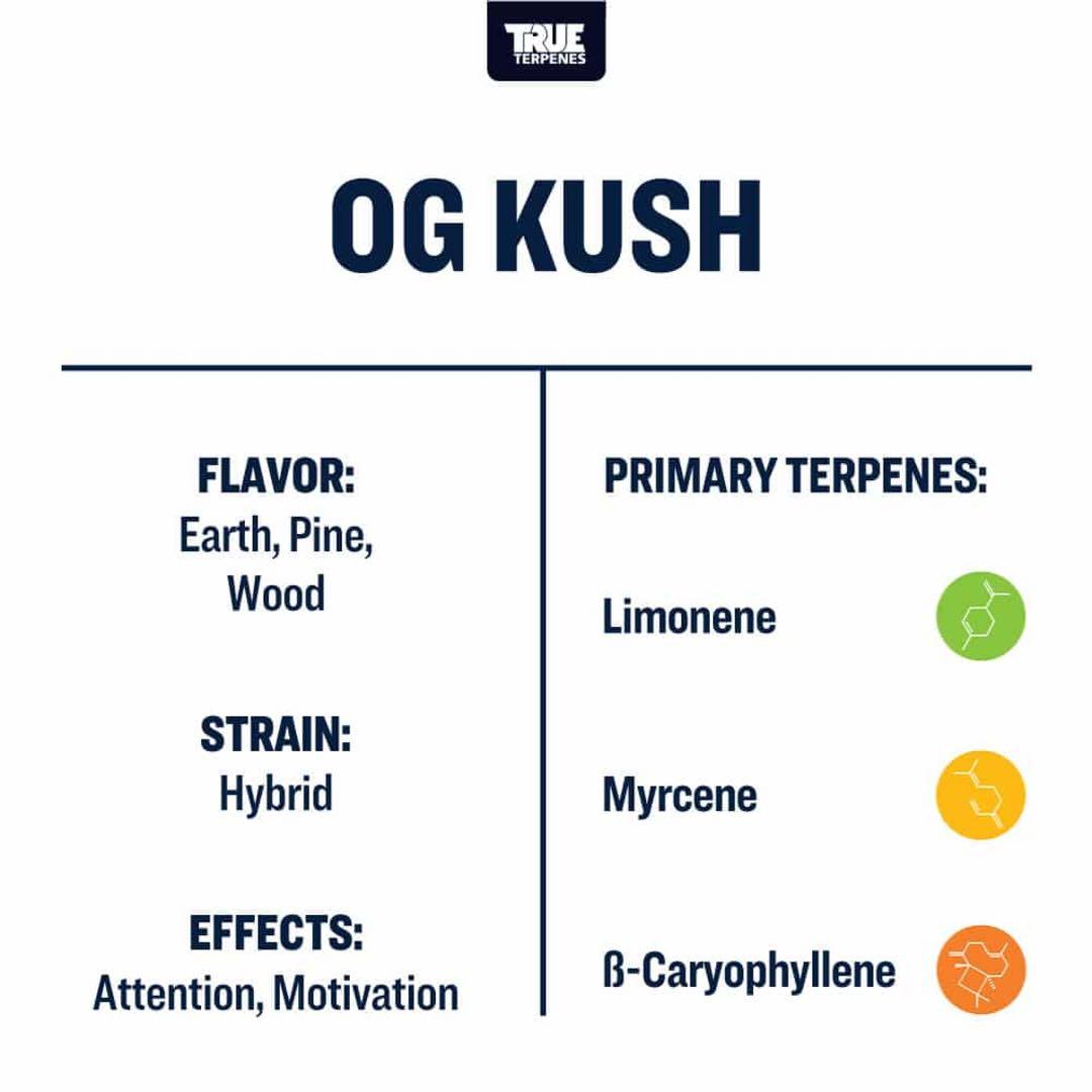 【10ml】OG Kush／True Terpenes テルペン CBD CBN
