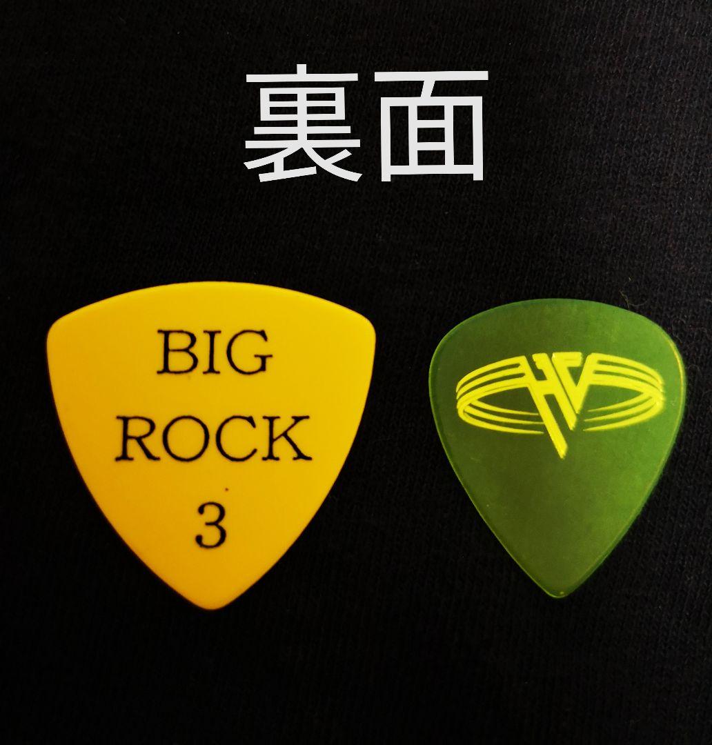 VANHALEN ギターピック 2枚セット