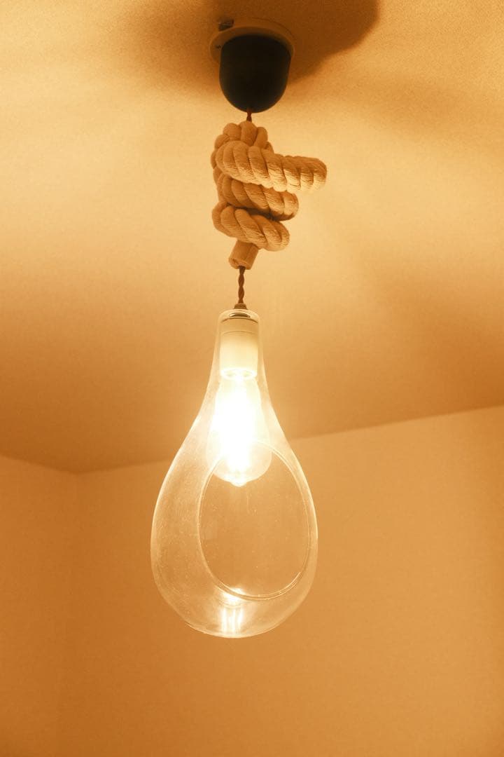スワン電気 ボタニック ハンギングライト ペンダントライト ガラス ロープ