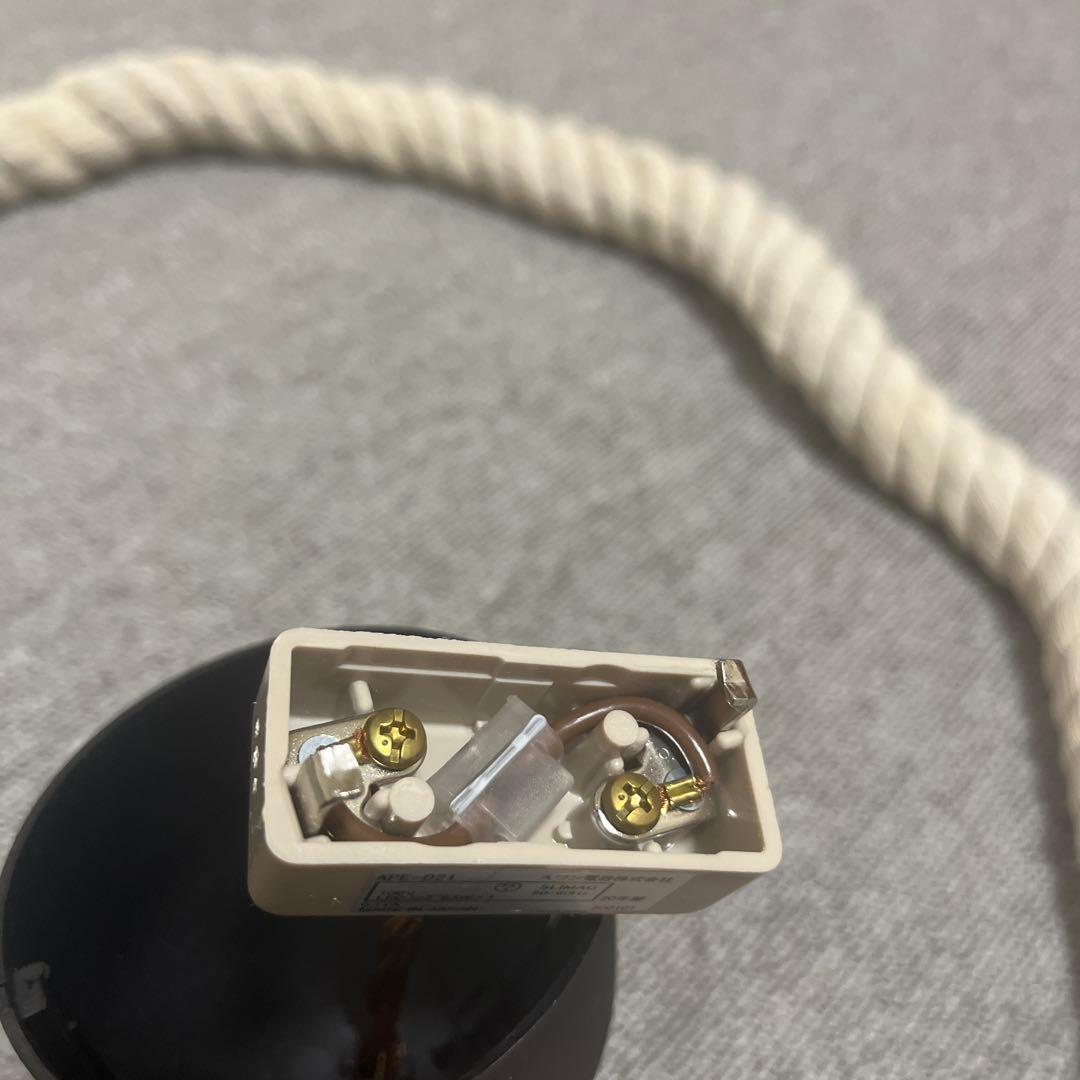 スワン電気 ボタニック ハンギングライト ペンダントライト ガラス ロープ