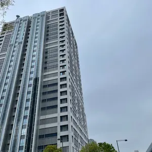 川崎フロンターレ 家長昭博選手 2021シーズン実使用ソックス - メルカリ