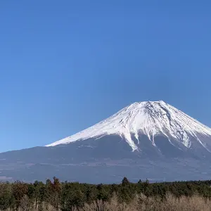 新品未使用】leiri ship グラス グラインドロッヂ レイリーヒュッゲ