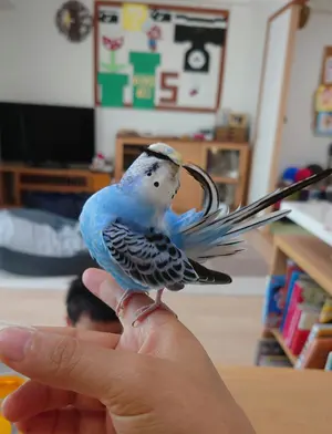 購入前にコメント必須 尺八本体 竹製 - メルカリ