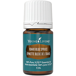 Idaho Blue Spruce Essential Oil | Young Living Essential Oils