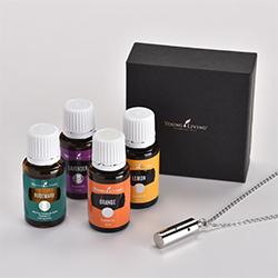 ブレインリフレッシュ セット | ヤング・リヴィング精油 | Young