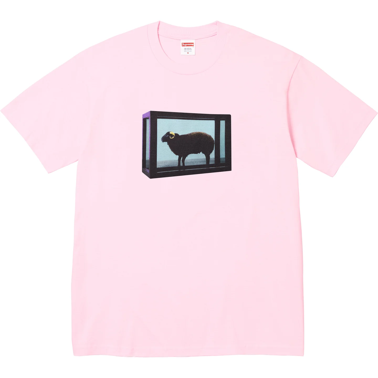 Supreme/Damien Hirst Tee | Supreme 25ss